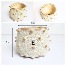 Load image into Gallery viewer, Petit Flowerpots (Series 16)