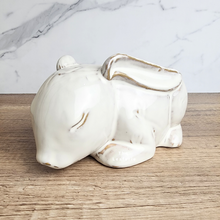 Load image into Gallery viewer, The Leaferie Trudie rabbit/ bunny flowerpot. ceramic material