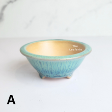 Load image into Gallery viewer, The Leaferie Petit bonsai series 46. 3 colours bonsai pots