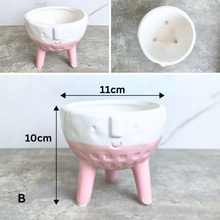 Load image into Gallery viewer, Rosalie Flowerpot