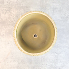 Load image into Gallery viewer, Thanos Flowerpot