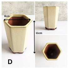 Load image into Gallery viewer, Petit Bonsai Flowerpot (Series 3) Beige Theme