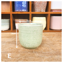 Load image into Gallery viewer, Petit Flowerpots (Series 8)