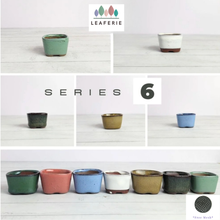 Load image into Gallery viewer, Petit Bonsai Flowerpot (Series 6)