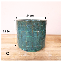 Load image into Gallery viewer, Lazarina Flowerpot