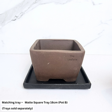 Load image into Gallery viewer, The Leaferie Reimi bonsai pot series 3 square zisha pot