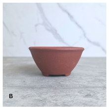 Load image into Gallery viewer, Petit bonsai 28. Collage of terracotta bonsai pots with 'LEAFERIE' branding on a light background.