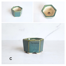 Load image into Gallery viewer, The Leaferie Bonsai pot series 81. hexagon ceramic pot. 5 colours