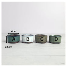 Load image into Gallery viewer, Petit Bonsai flowerpot (Series 17)