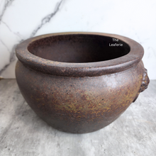 Load image into Gallery viewer, The Leaferie Lorelei no drainage hole suitable for fish bowl.