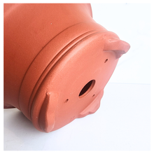 Load image into Gallery viewer, Close-up of a Zisha colored pot on a white background