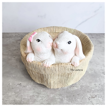Load image into Gallery viewer, The Leaferie Hoppi Rabbit bunny pot. resin material.