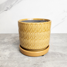 Load image into Gallery viewer, The Leaferie Madigan yellow flowerpot with matching tray. ceramic material