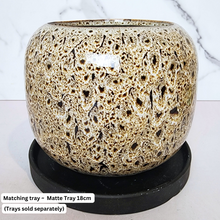 Load image into Gallery viewer, The Leaferie Brooke flowerpot. ceramic material . black and beige colour