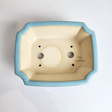 Load image into Gallery viewer, The Leaferie Bonsai Tally Series 11. 3 colours (Green, white and light blue ceramic material)