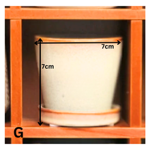 Load image into Gallery viewer, Petit Flowerpots (Series 1)