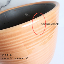 Load image into Gallery viewer, The Leaferie AS-IS october 24. 8 items