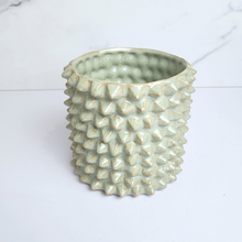 Load image into Gallery viewer, The Leaferie Kyllo spike ceramic flowerpot.