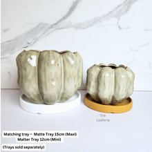 Load image into Gallery viewer, The Leaferie Beaumont flowerpot 2 sizes ceramic flowerpot
