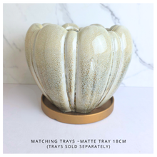 Load image into Gallery viewer, Evara Heart-shaped ceramic flowerpot with textured brand 'LEAFERIE'.