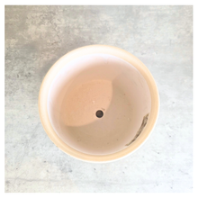Load image into Gallery viewer, Selora Decorative planter with green floral pattern on a gray surface, featuring the brand 'LEAFERIE'.