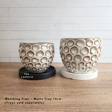 Load image into Gallery viewer, The Leaferie Sen Flowerpot . 2 sizes beige ceramic pot.