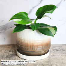 Load image into Gallery viewer, The Leaferie Sotiria Large flowerpot. white and brown base ceramic pot.