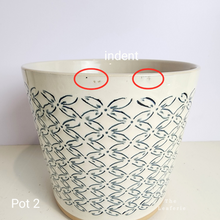 Load image into Gallery viewer, As-Is Pots Batch October 2023 (13 items)