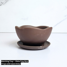 Load image into Gallery viewer, The Leaferie Petit Bonsai Series 42. 4 designs in each set