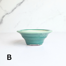 Load image into Gallery viewer, Petit Bonsai Flowerpot (Series 48)