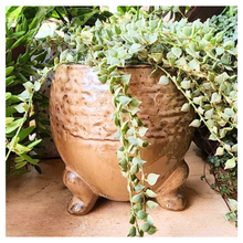 Load image into Gallery viewer, Francoise Flowerpot