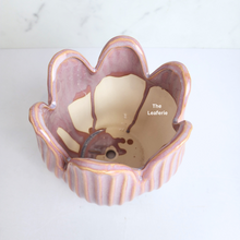 Load image into Gallery viewer, The Leaferie Castillo ceramic pot. 2 colours pink and white.