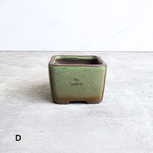 Load image into Gallery viewer, The Leaferie Petit Bonsai Series 77 (4 colours) square ceramic material