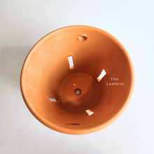 Load image into Gallery viewer, The Leaferie Yui Terracotta pot with holes . suitable for orchid.