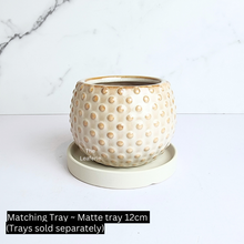 Load image into Gallery viewer, The Leaferie Cedro beige ceramic pot. small planter