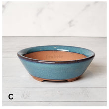 Load image into Gallery viewer, Petit Bonsai Flowerpot (Series 11)