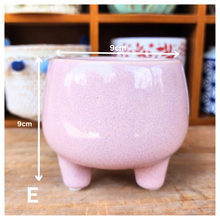 Load image into Gallery viewer, Mini Flowerpots (Series 4) 10cm