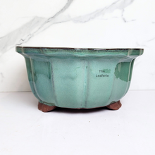 Load image into Gallery viewer, The Leaferie Bonsai flowerpot series 69. 2 colour blue and green and 2 sizes. ceramic material