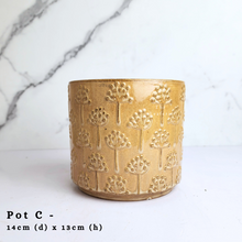 Load image into Gallery viewer, The Leaferie AS-Is May 2024. 12 pieces ceramic pots