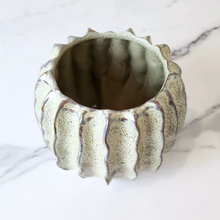 Load image into Gallery viewer, Haruka Flowerpot
