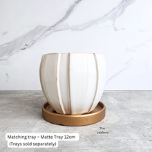 Load image into Gallery viewer, The Leaferie Auralie white ceramic flowerpot.