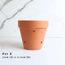 Load image into Gallery viewer, The Leaferie Terracotta Tray tall size. available in 6 sizes . Pot E
