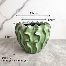 Load image into Gallery viewer, the Leaferie As-is september 2024. 12 pot