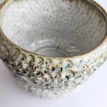 Load image into Gallery viewer, The Leaferie Gallagher crater pot.