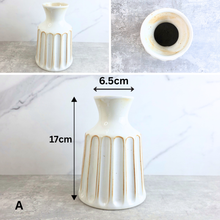 Load image into Gallery viewer, Ponza Collection Vases (Series 1)