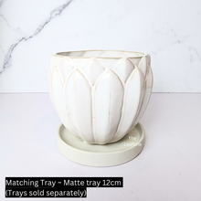 Load image into Gallery viewer, Everly Flowerpot