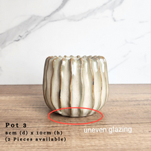 Load image into Gallery viewer, The Leaferie AS-IS Pots December 23.