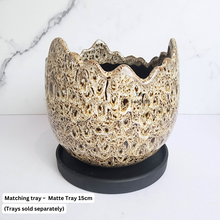 Load image into Gallery viewer, The Leaferie Dubois Egg flowerpot.ceramic material