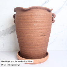 Load image into Gallery viewer, The Leaferie Yucca tall terracotta pot.