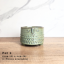 Load image into Gallery viewer, As-Is Pots Batch November 2023 (13 items)